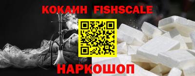 стафф Гай