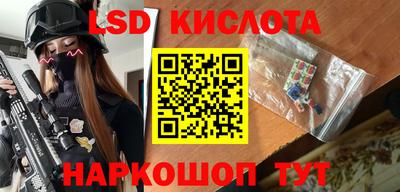 стафф Гай
