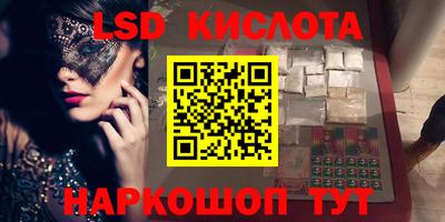 стафф Гай