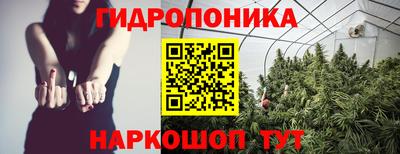 mdma Гатчина
