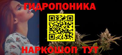 стафф Гай