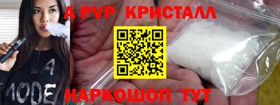 стафф Гай