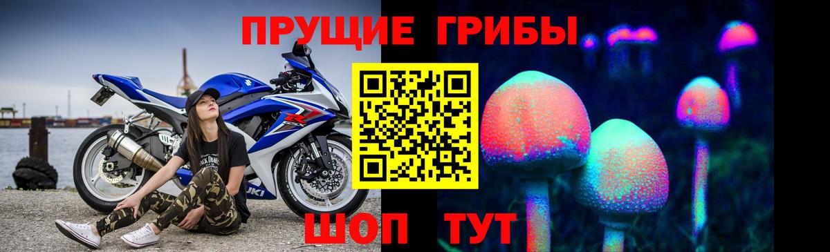 Уссурийск  Псилоцибиновые грибы Psilocybine cubensis  Вход с VPN  Галлюциногенные грибы мухоморы 